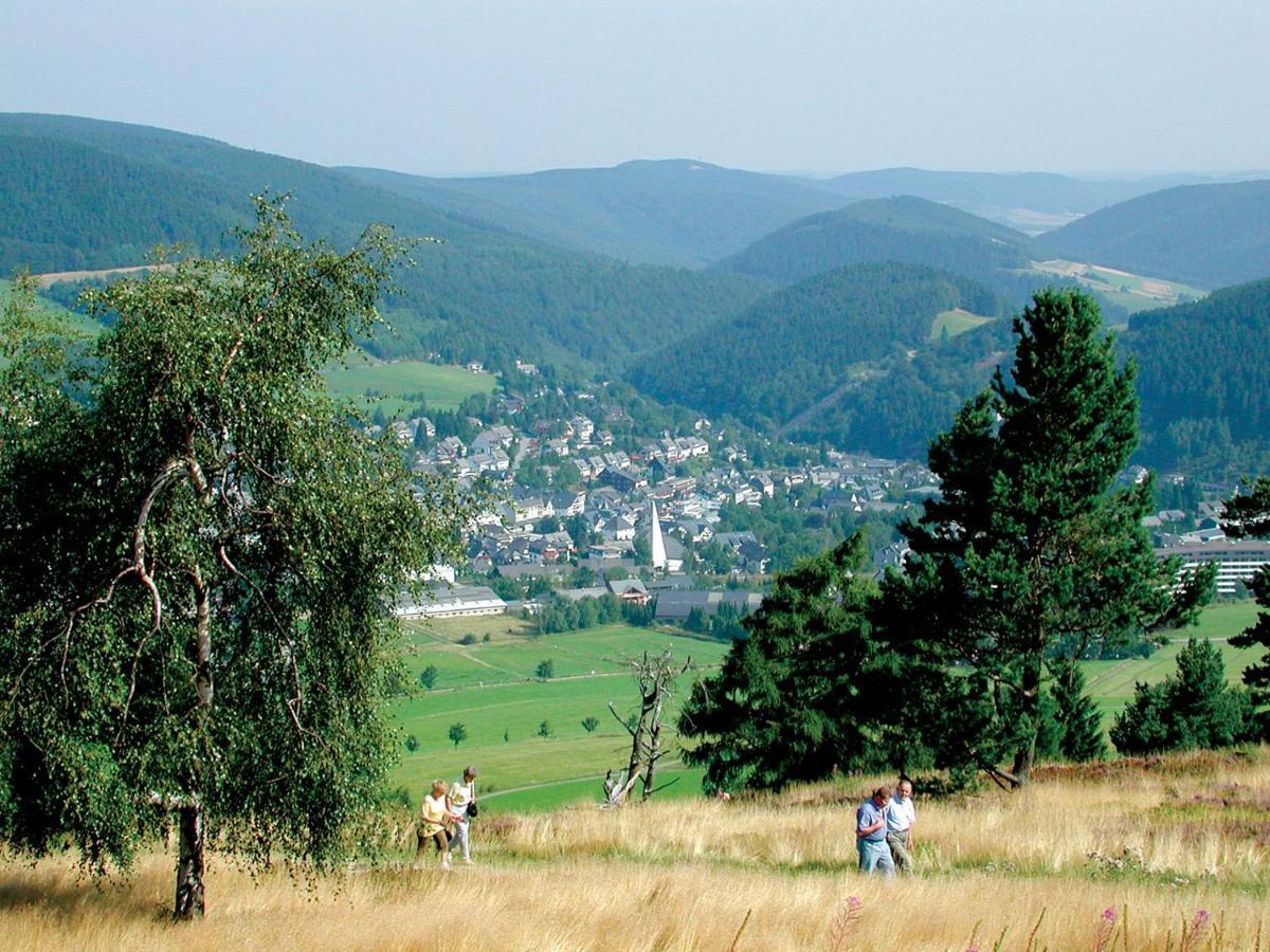 Schneeberg * Willingen (Upland)